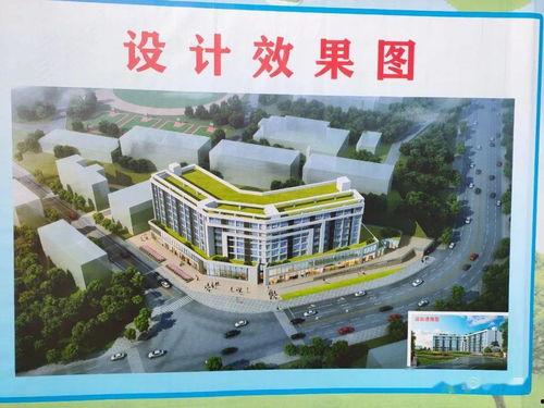 广元校园新爆料最新消息,揭秘校园热点事件背后的真相  第1张