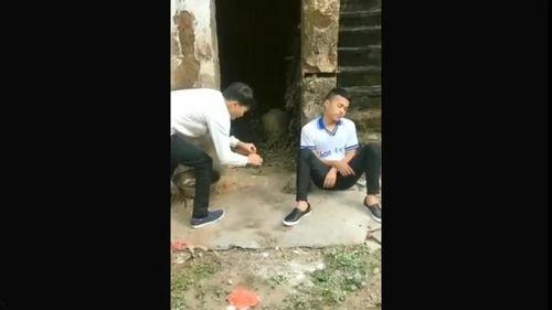 农村爆料搞笑视频大全,农村爆料搞笑视频大盘点  第2张